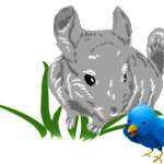 chin_mascot_03