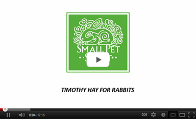 rabbit hay video