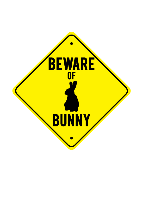 cookie s bunny profile on bunspace com cookie s bunny profile on bunspace com