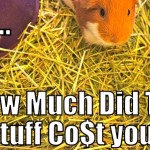 timothy hay is expensive