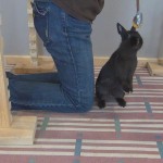 Here is Ebony doing some tricks