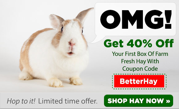 fresh-timothy-hay-coupon