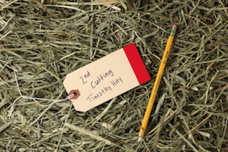 second cut timothy hay second cut timothy hay