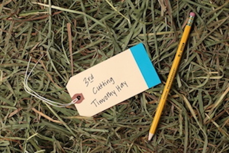 thrid cut timothy hay 3rd cutting timithy hay