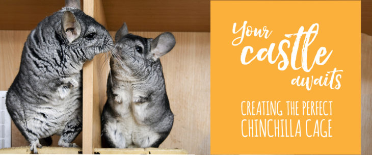 chinchilla cage