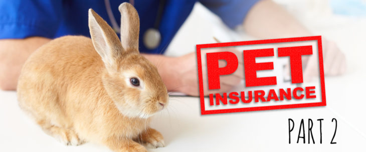 pet-insurance-2-header_1200x500