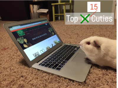 e859b169-aafe-4d7c-98b7-5ce3888dad13 Top 15 Cuties