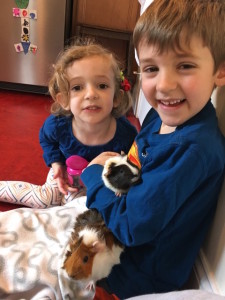 boy and girl with guinea pigs