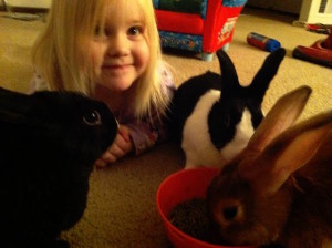 little girl being calm with rabbits