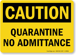 quarantining guinea pigs, why to quarantine a guinea pig, quarantine your guinea pig before introductions