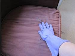 gloves remove fur from clothes and furniture