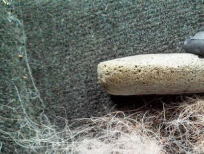 lava or pumice removes fur from clothes and furnitures