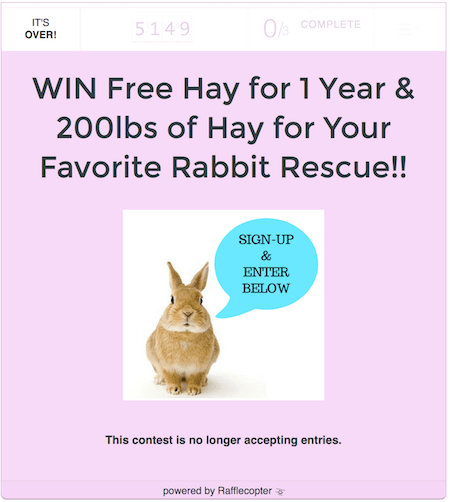 SPS sponsored this rabbit naming contest SPS sponsored this rabbit naming contest