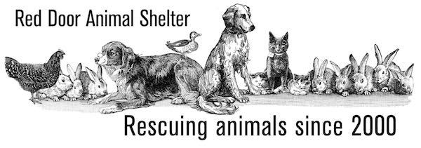Red Door Animal Shelter Red Door Animal Shelter
