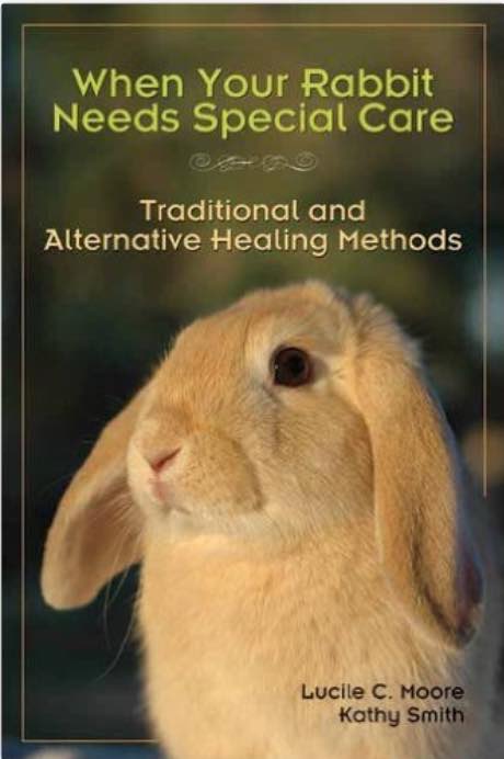 rabbit care book