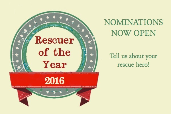 rescuer of the year survey