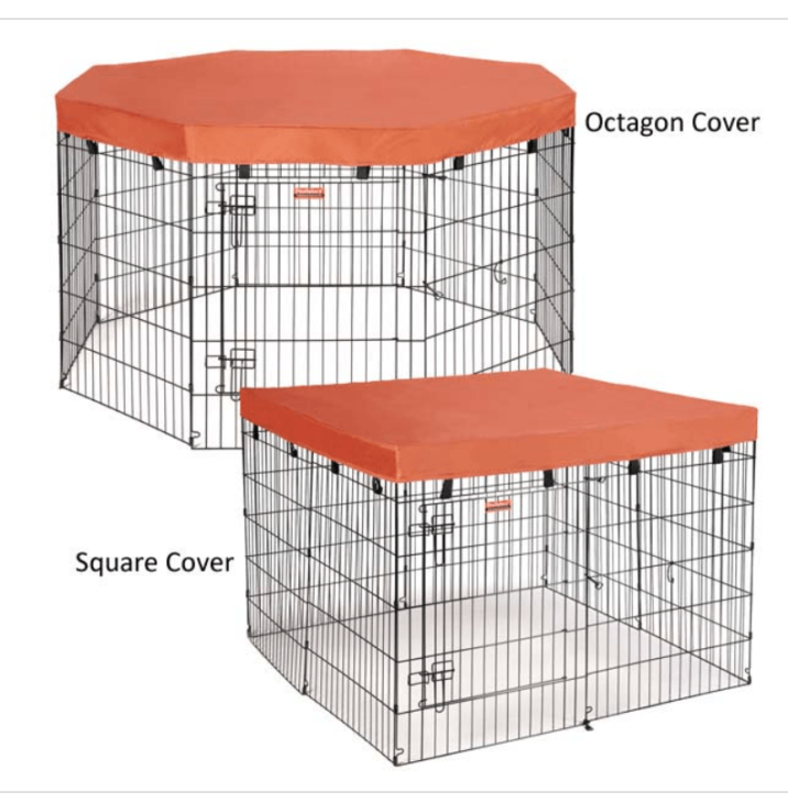 Stay inside that exercise pen, rabbit! Escape artists and how to solve.