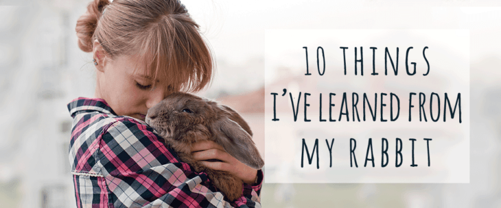 10 things I learned from my rabbit