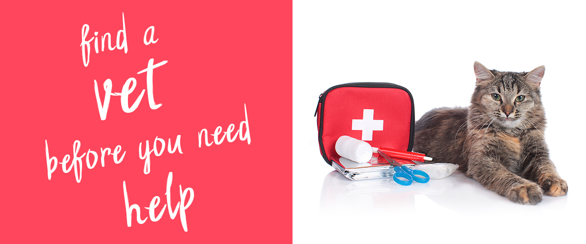Find a Vet... BEFORE An Emergency Small Pet Select