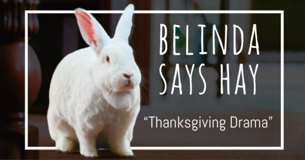 belinda says hay thanksgiving drama