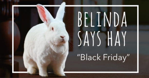 belinda says hay black friday