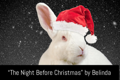 rabbit belinda with snow and rabbit hat