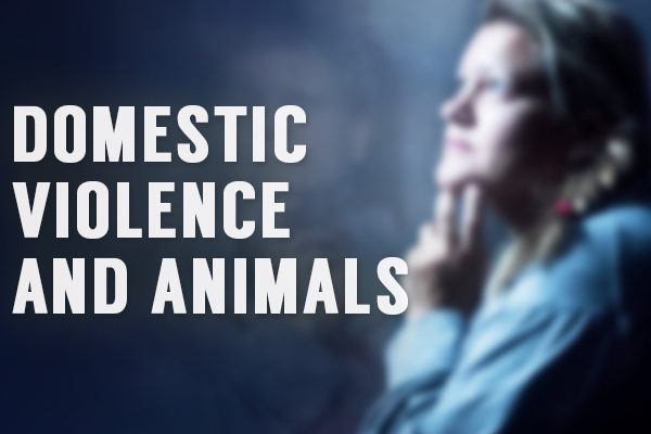 domestic violence and animals