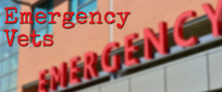 emergency vets