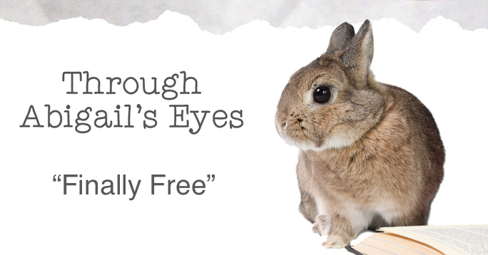 abigail finally free