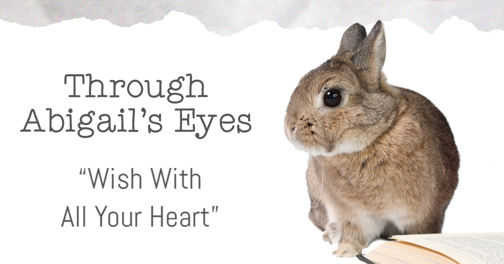 abigail wish with you heart