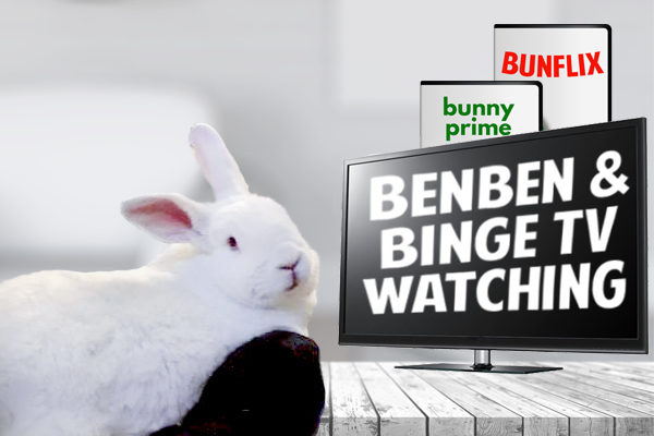bunny watching tv
