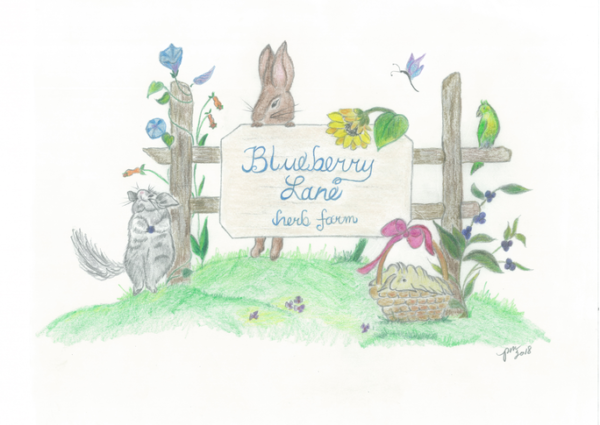 blueberry lane rabbit chinchilla guinea pig and bird