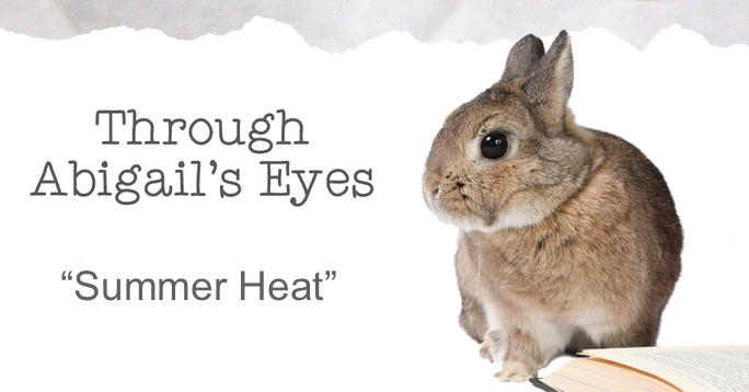 Abigail Summer Heat