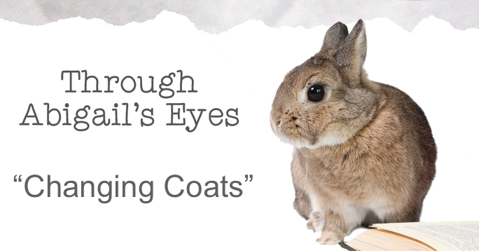 Abigail changing coats