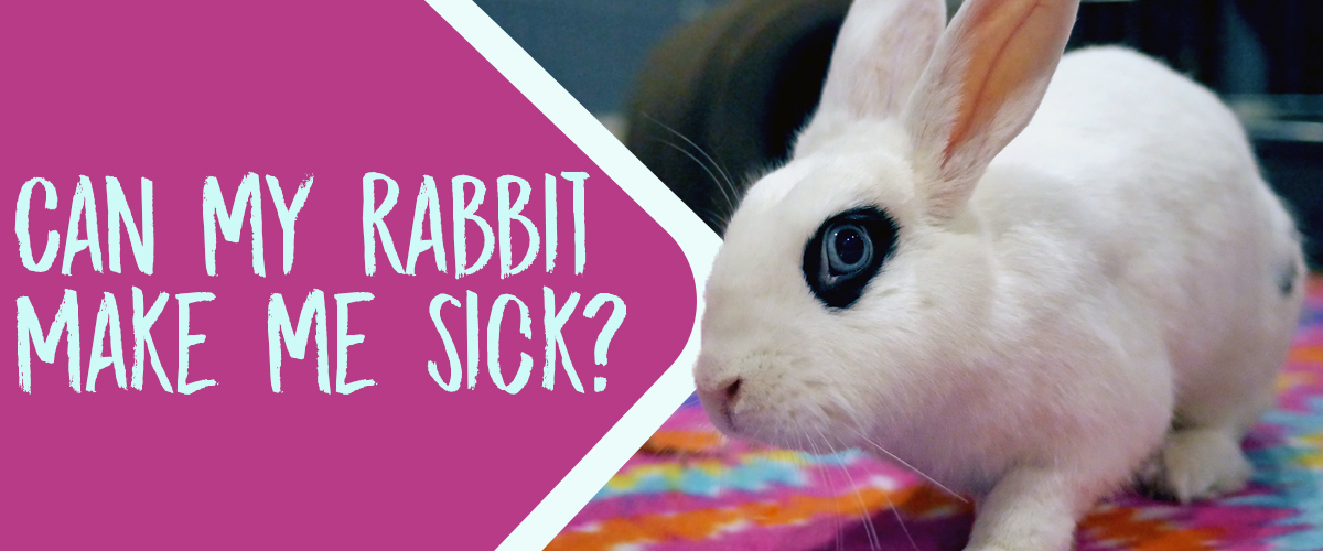 Sharing is caring...unless it's an illness! Contagious pet rabbit
