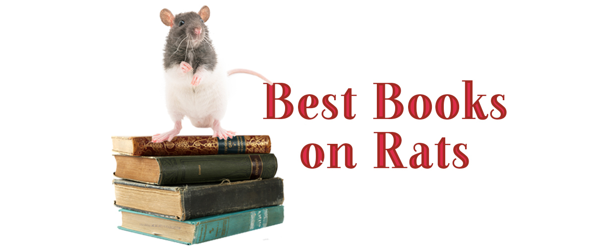 Need a good (rat) read? Here are some of the best books on rats!