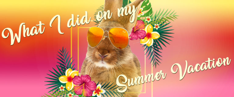Theo the Rabbit's Summer Vacation