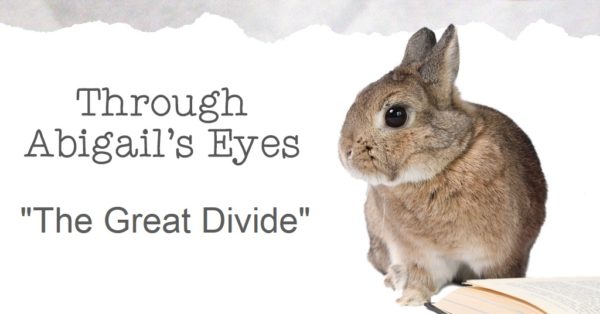Through Abigail's Eyes: The Great Divide