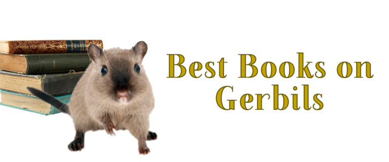 best books on gerbils