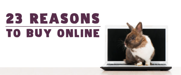 reasons to shop online for pet supplies