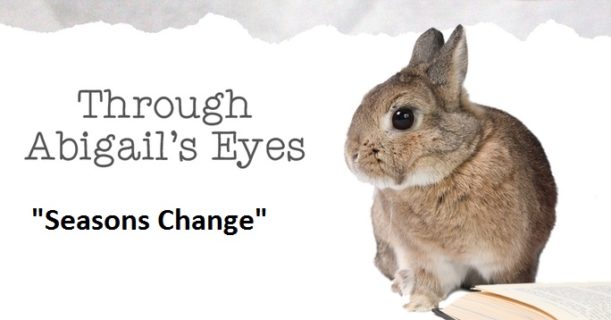 Through Abigail's Eyes - Season Change
