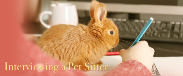 How to find the perfect pet sitter