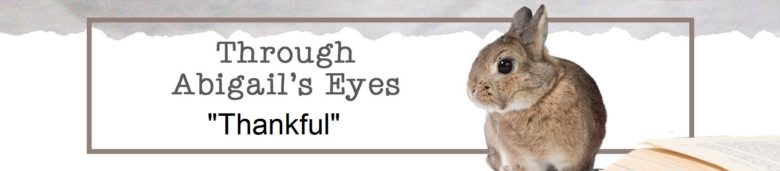 Through Abigail's Eyes: Thankful