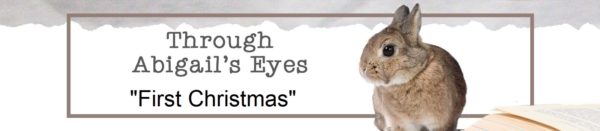 Through Abigail's Eyes - First Christmas