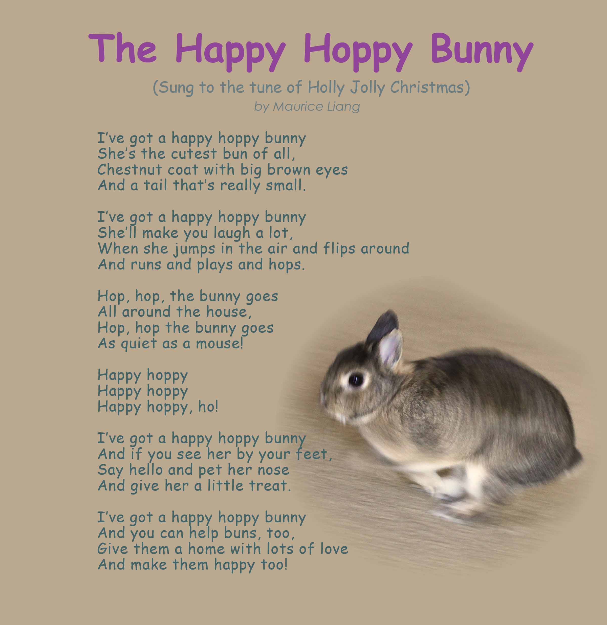 Happy Hoppy Bunny