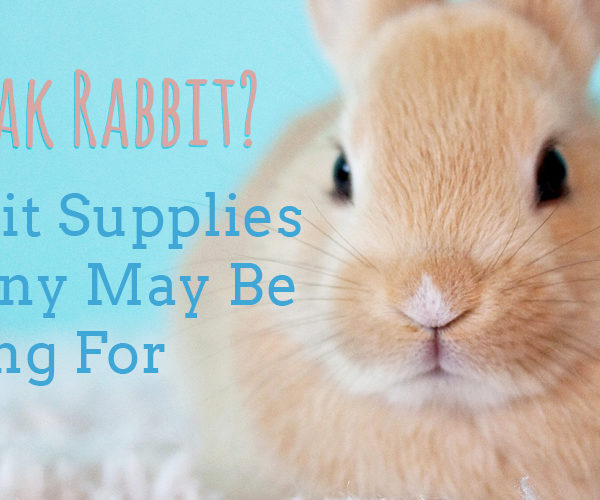 how to speak rabbit