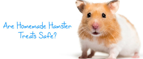 Are homemade hamster treats safe?
