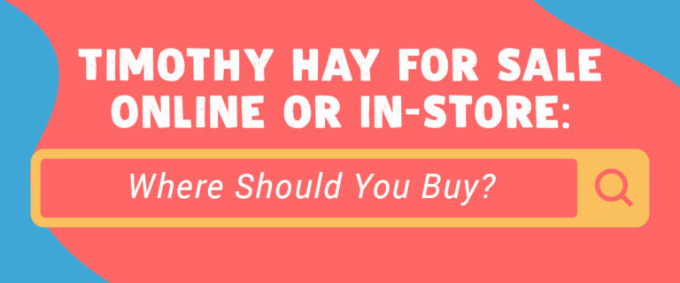 where to buy hay