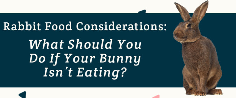 rabbit food considerations