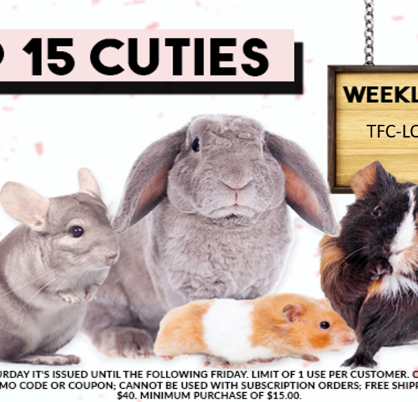 Top 15 Cuties 4/20/19